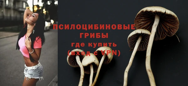 стаф Алексин